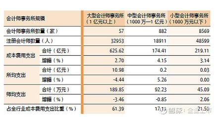 2023年度全国各省市注册会计师行业收入与人均收入排名分析