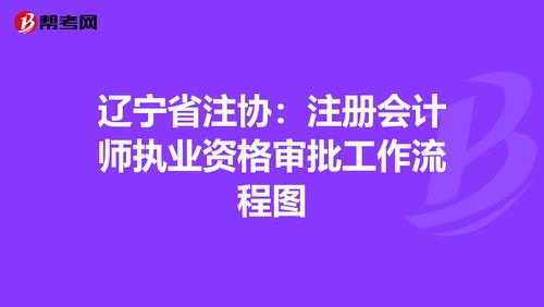 辽宁省注协注册会计师执业资格审批工作流程图