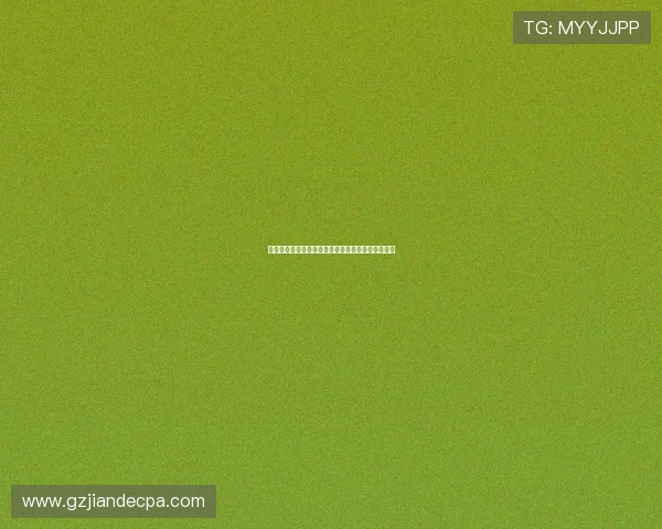 法比奥席尔瓦或冬季离队多特蒙德罗马米兰积极争夺